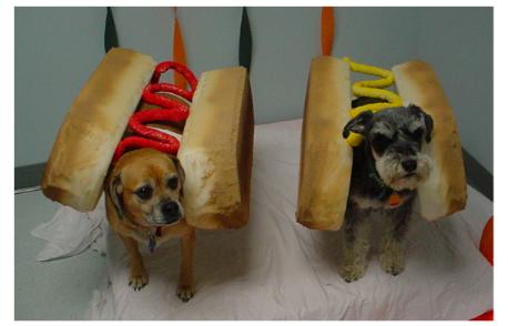 Images Of Dogs. Ebony and Ivory Hot Dogs